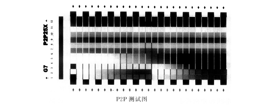 P2P测试图